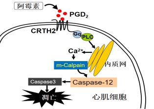 机制